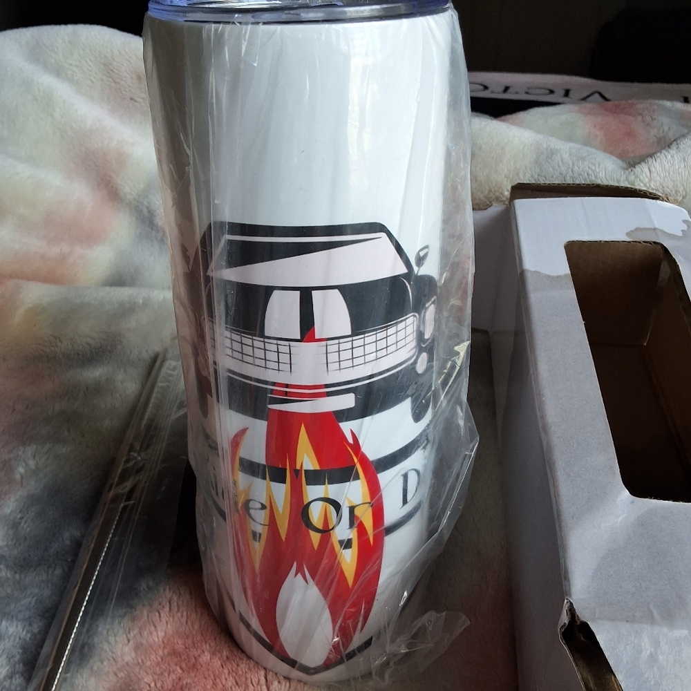 NWOT 20oz Steel Decorated Tumbler with Steel Straw and cleaning rod  box…
